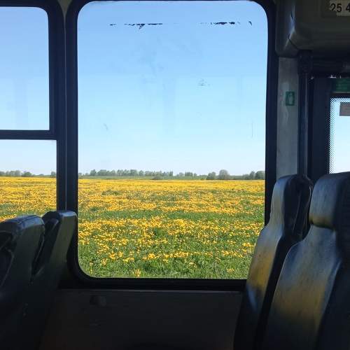 Photo #10633451