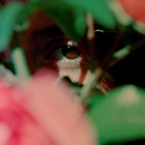Photo #10633576