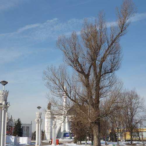 Photo #10634115