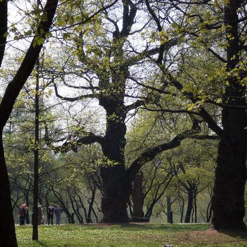 Photo #10634178