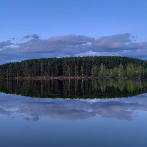 Photo #10634193
