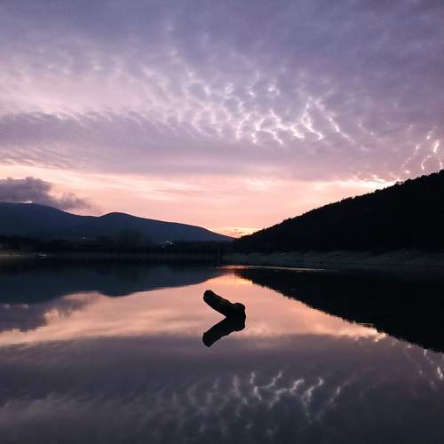 Photo #10634291