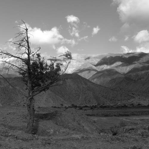 So lonely... Tilcara, Jujuy, Argentina.