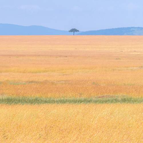 Photo #10634394
