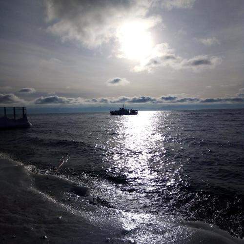 Photo #10634602