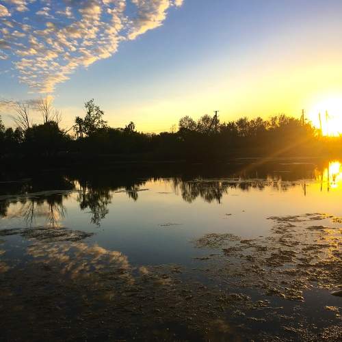 Photo #10634621