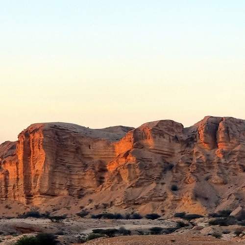 Photo #10634699