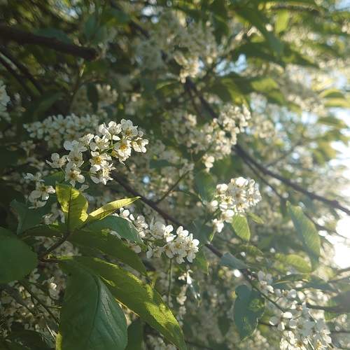 Photo #10634750