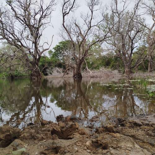 Photo #10634758