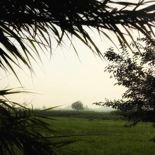 Photo #10635130