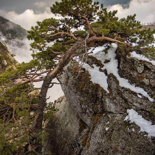 Photo #10635652