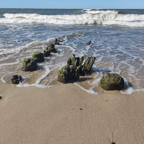 Photo #10635737