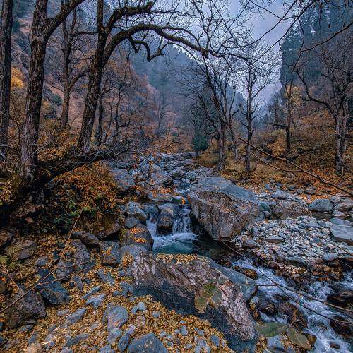 Magnificent Kashmir