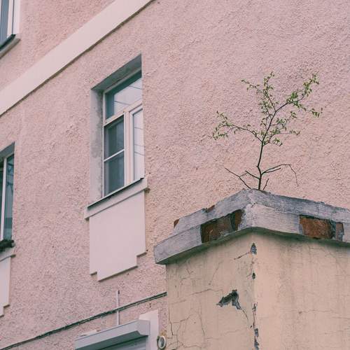 Photo #10635963