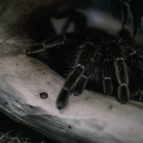 Photo #10635970