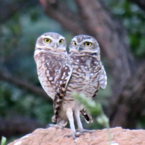 Photo #10636126