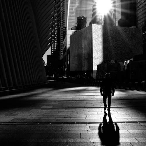 Photo #10636365
