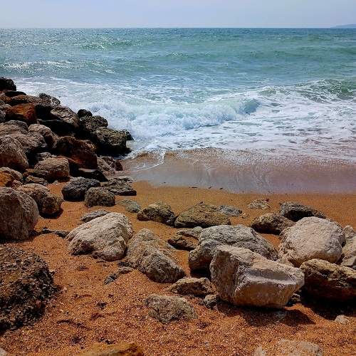 Photo #10636517