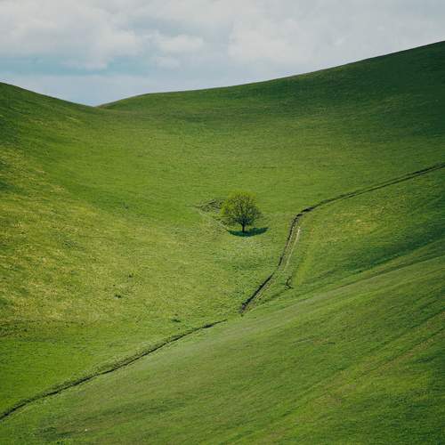 Photo #10636648