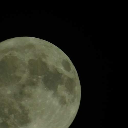 Photo #10637029