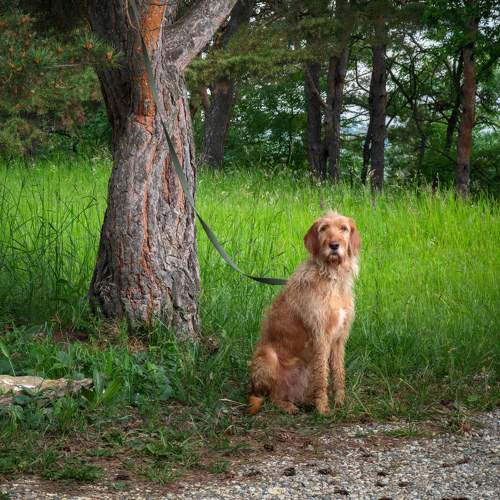 Photo #10637431