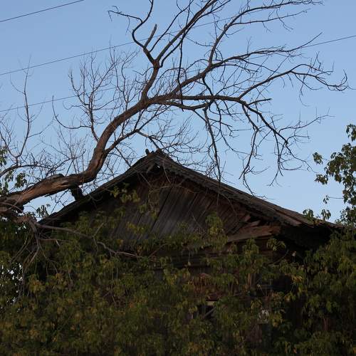 Photo #10637511