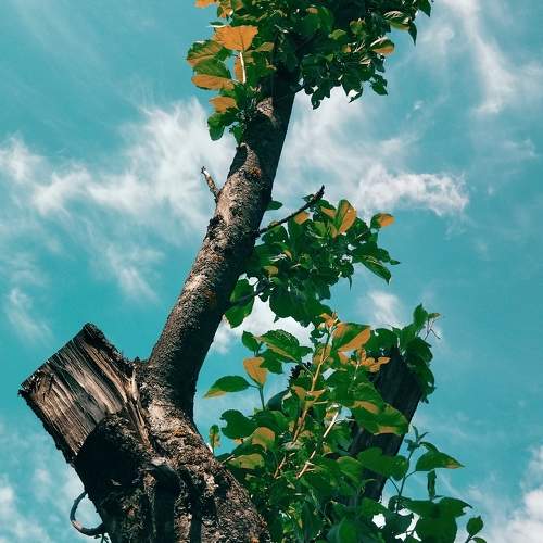 Photo #10637736