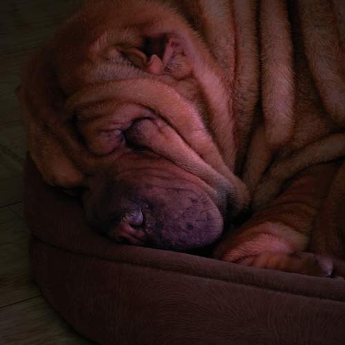 Photo #10637971