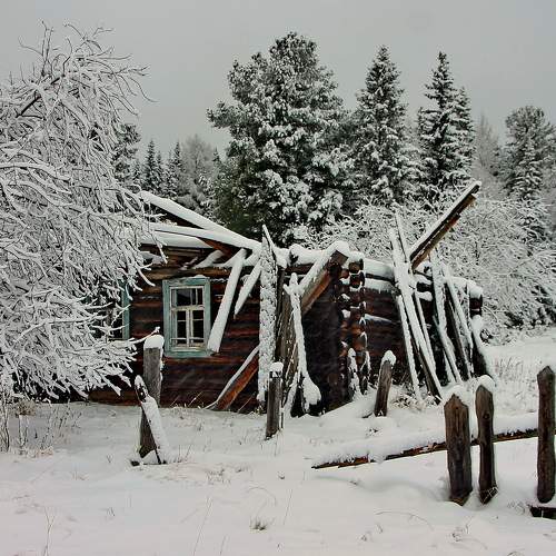 Photo #10638030