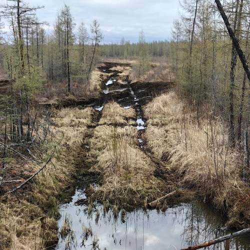 Photo #10638344