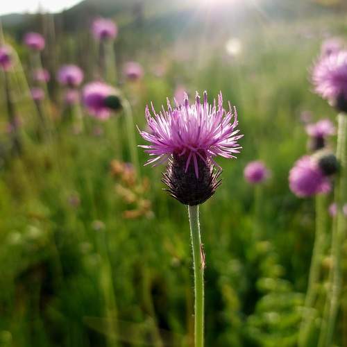 Photo #10638394
