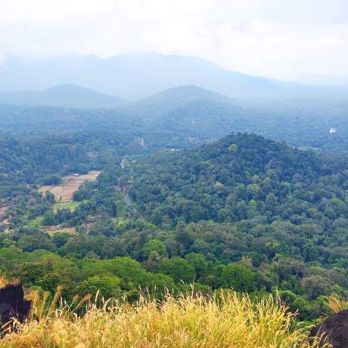Photo #10638466
