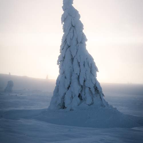 Photo #10638771