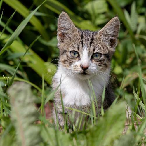 Photo #10639637