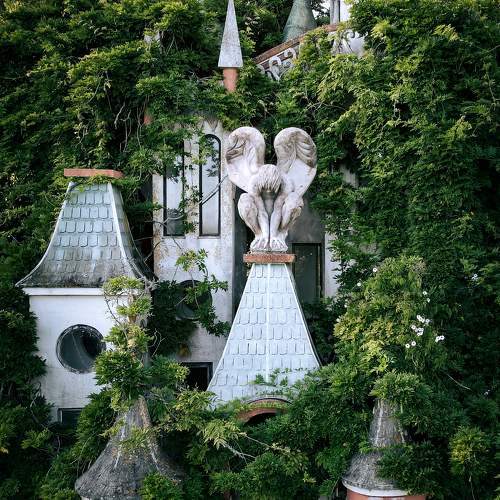 Photo #10639774
