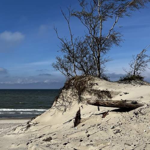 Photo #10639854