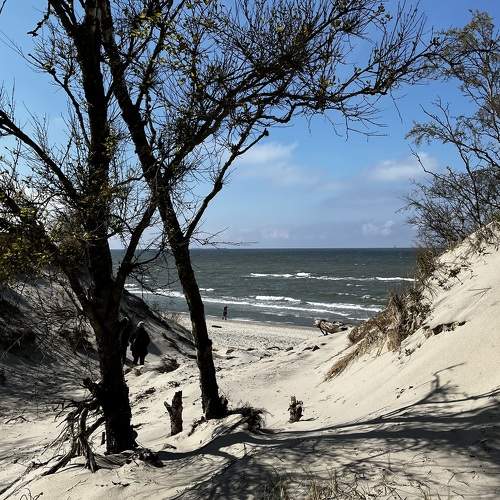 Photo #10639856