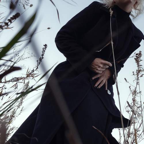 Photo #10639958
