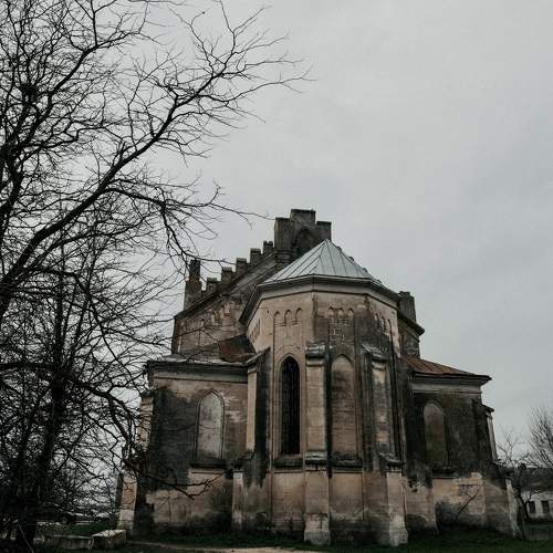 Photo #10640136