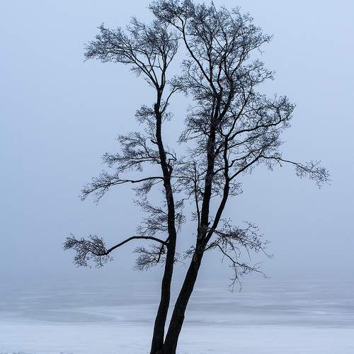 Photo #10640603