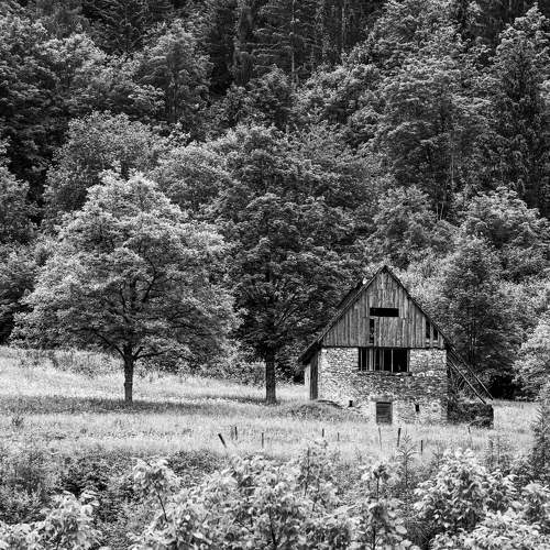 Photo #10640790
