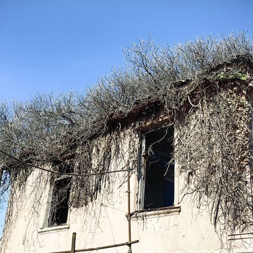 Photo #10640837