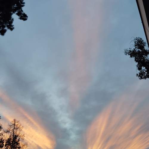 Photo #10640955