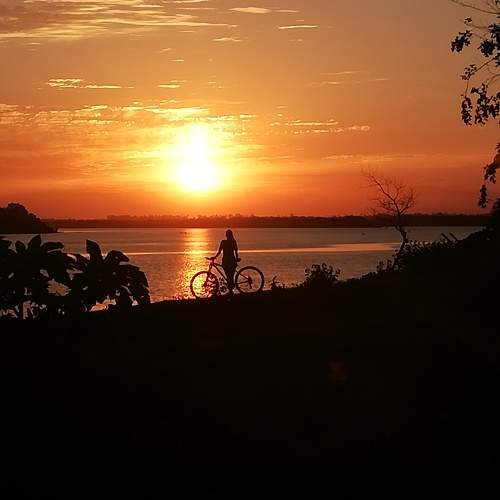 Photo #10641362