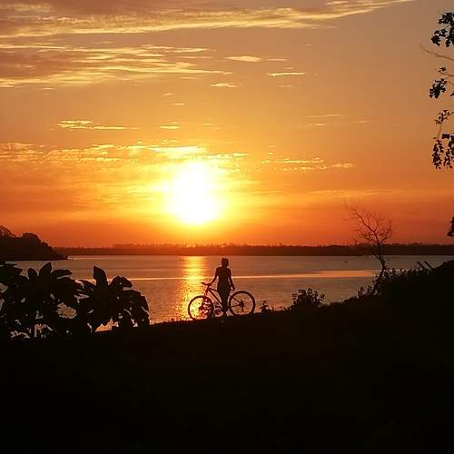 Photo #10641363