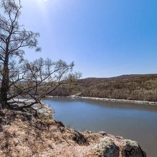 Photo #10641431