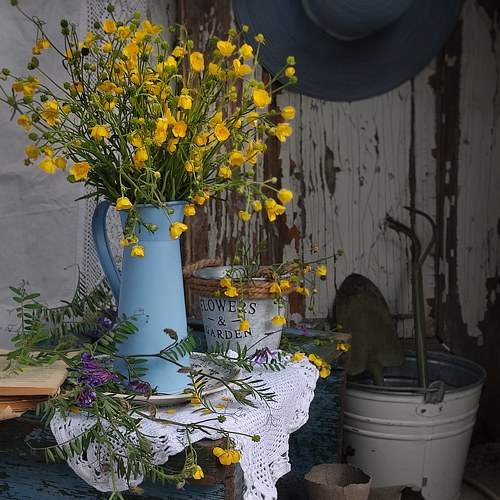Photo #10641524