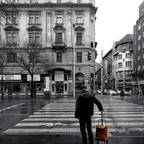 Photo #10641903