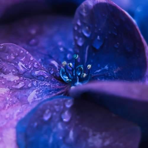 Photo #10642277