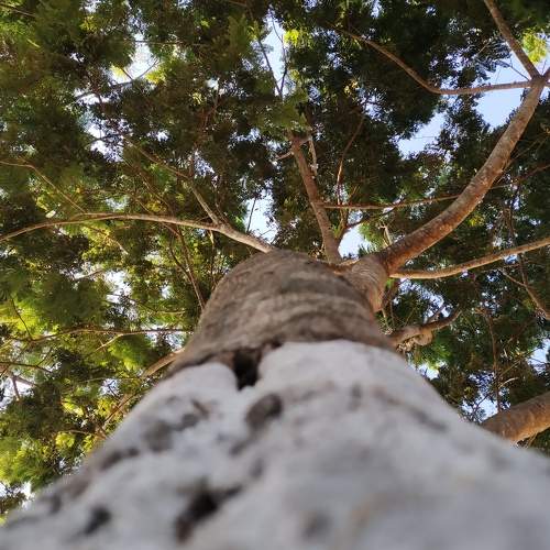 Photo #10642426